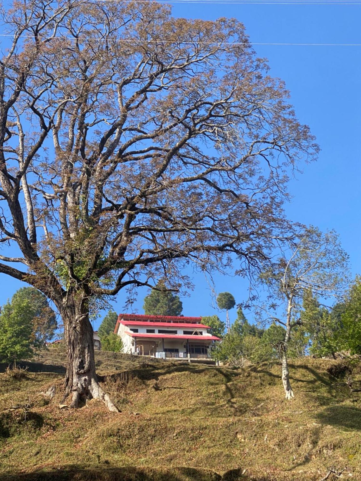 Little Frida- The Dak Bungalows Mukteshwar Bagian luar foto